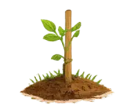 খুঁটি দিন