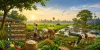 বাংলাদেশ কৃষি